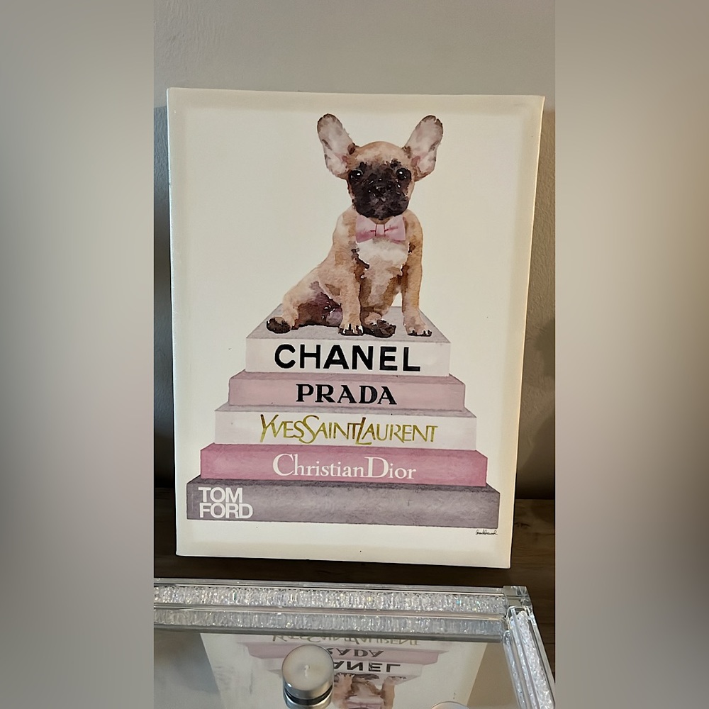 Designer French Bulldog Picture